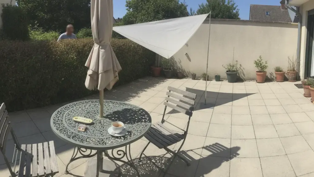 11 plantes grimpantes pour le jardin : Le secret d’une ombre parfaite
